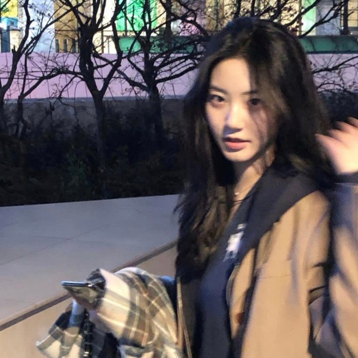 盛开的樱花林下